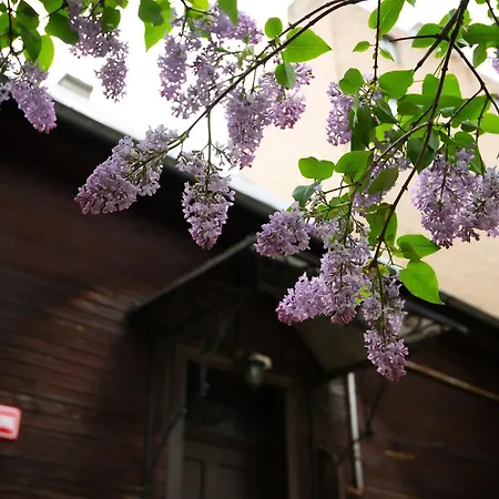 In The Heart Of Holiday home