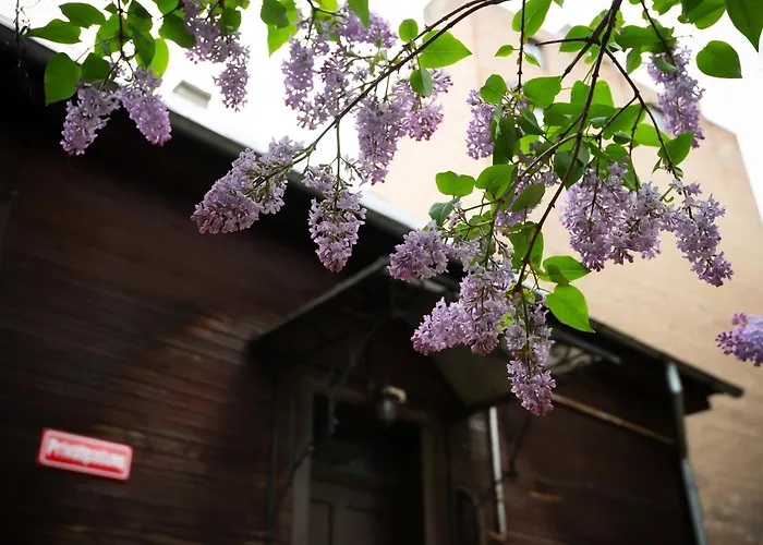 In The Heart Of 度假居